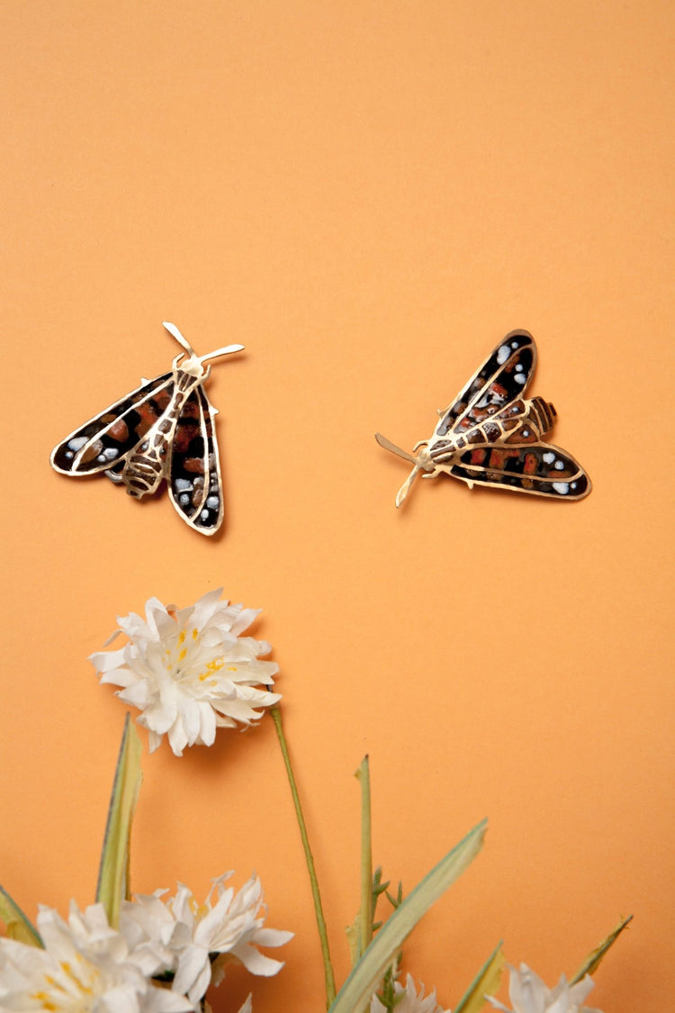 Insectos del mundo - exoenamel