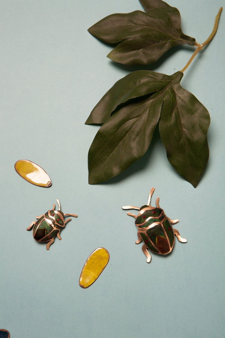 Insectos de Chile - exoenamel