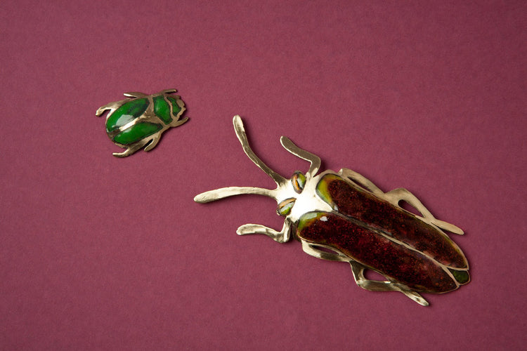 Insectos de Chile - exoenamel