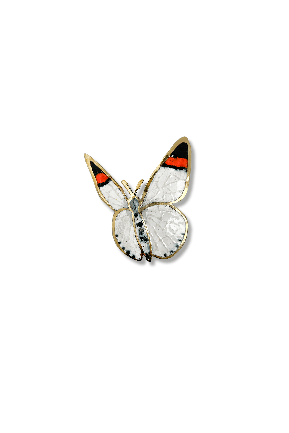Eroesa Butterfly (M)