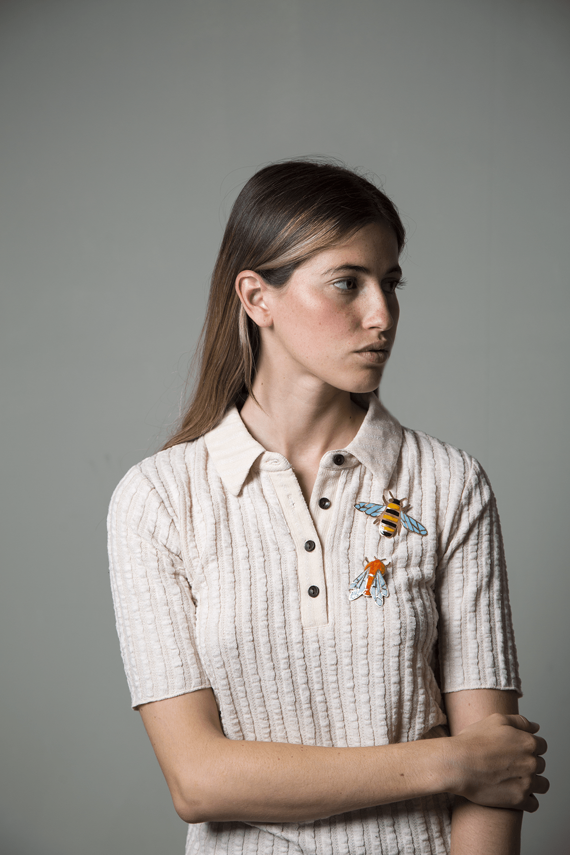 Chilean orange-bellied botfly (M)