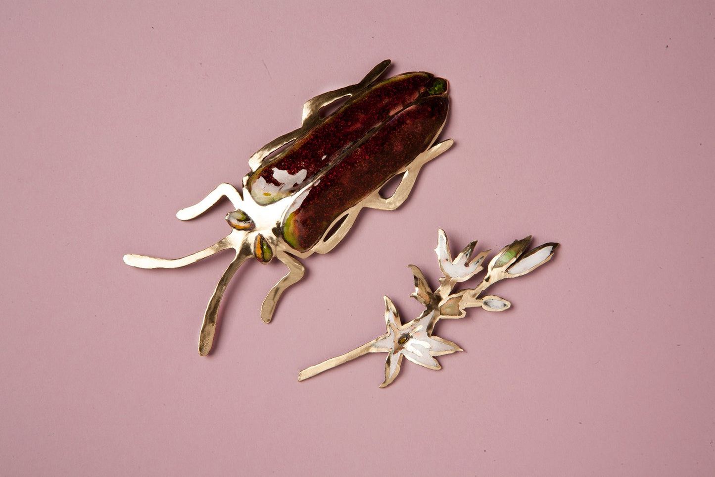 Burdeo Luma beetle (G)