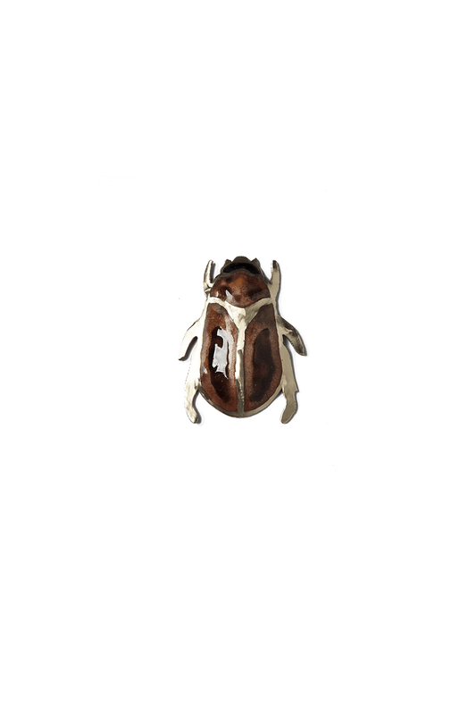 Escarabajo Caramelo (M)
