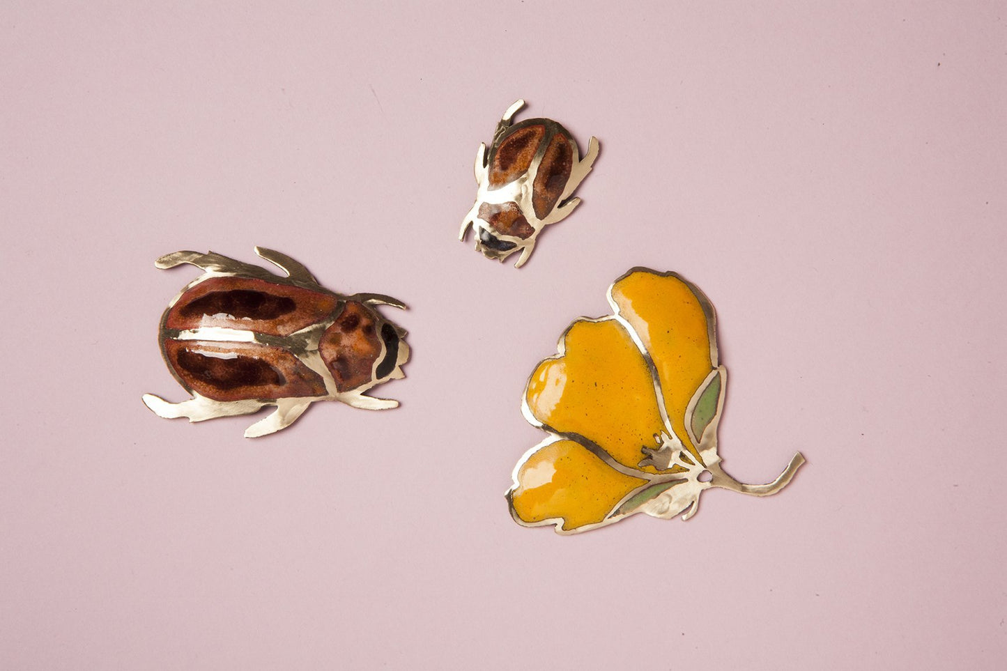 Escarabajo Caramelo (C)