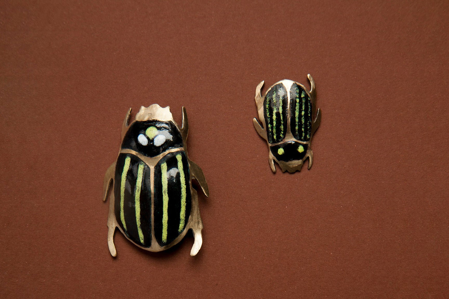 Escarabajo Rayas (M)
