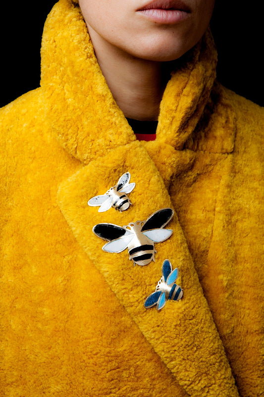 Escarabajo Volador Negro (M)