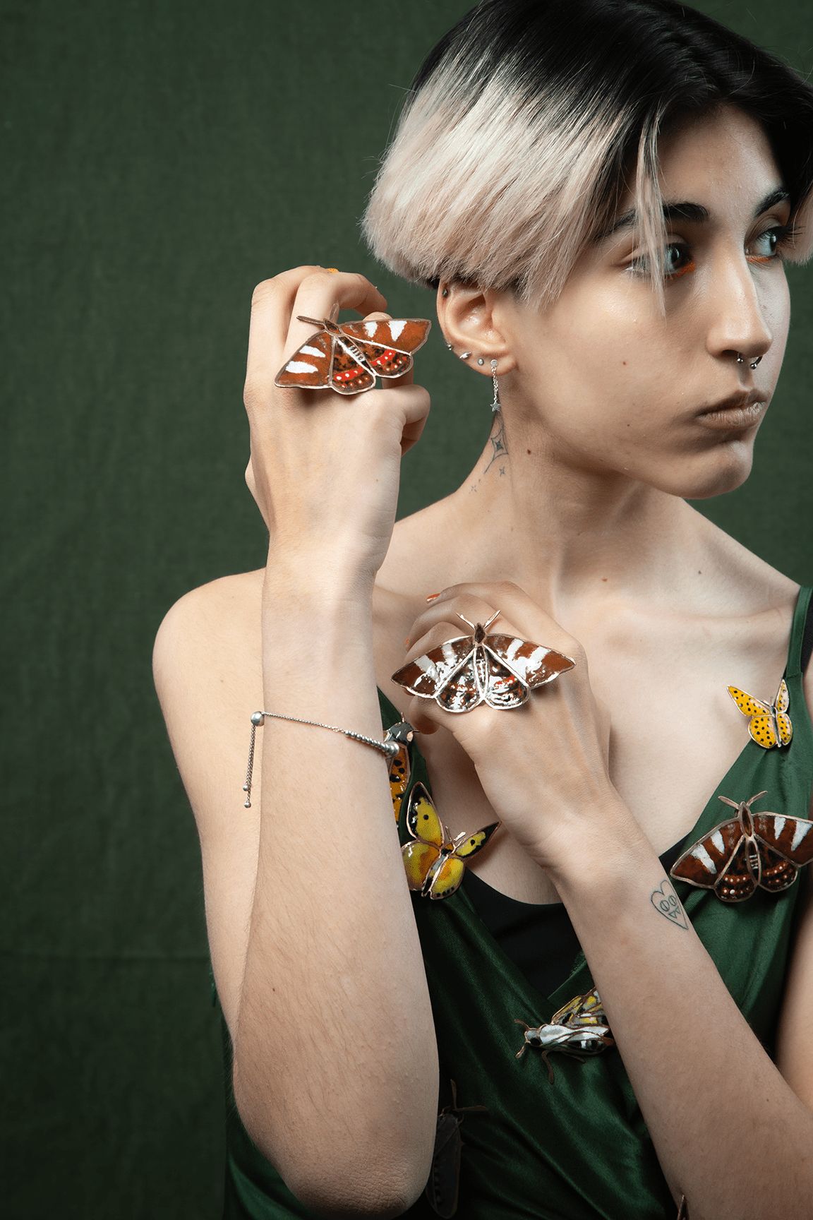 Mariposa del Chagual (M)