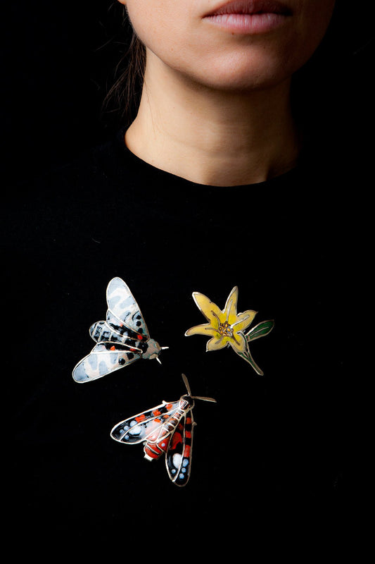 Añañuca Amarilla (M)