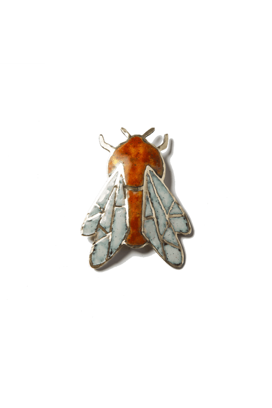 Chilean orange-bellied botfly (M)