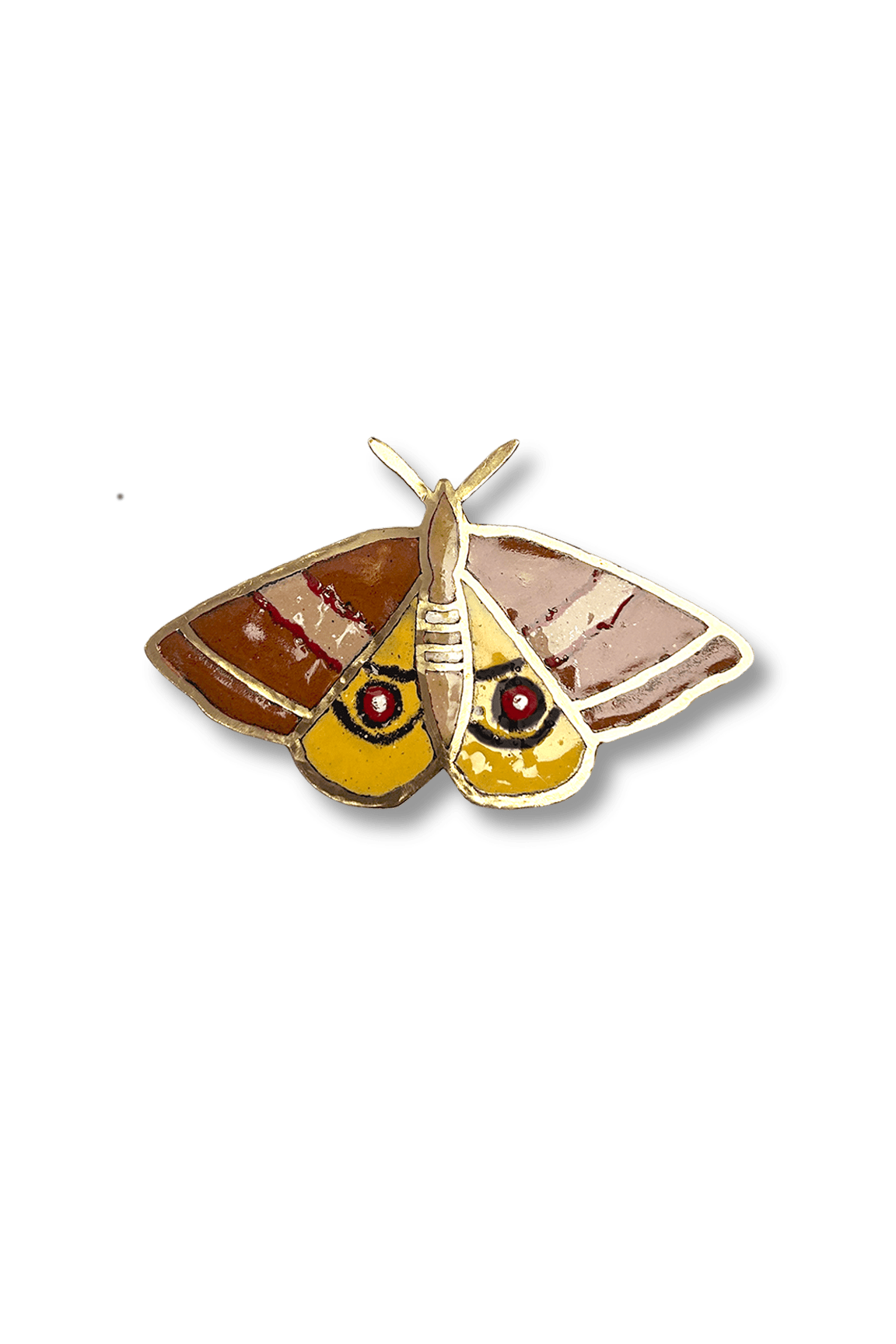 Mariposa de ojos (M)