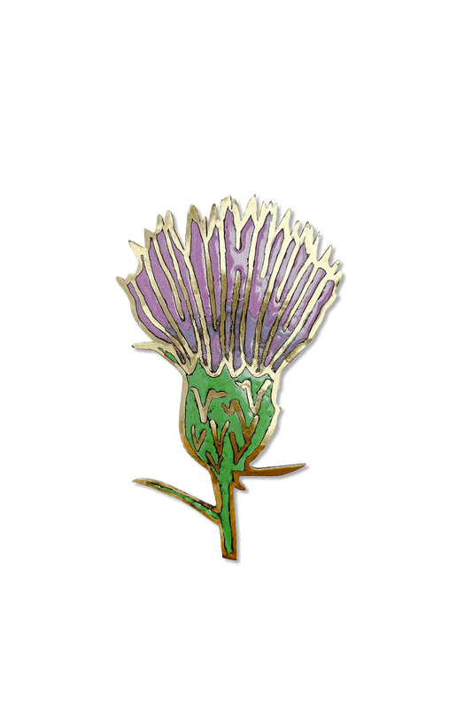 Cardo Penquero (G)