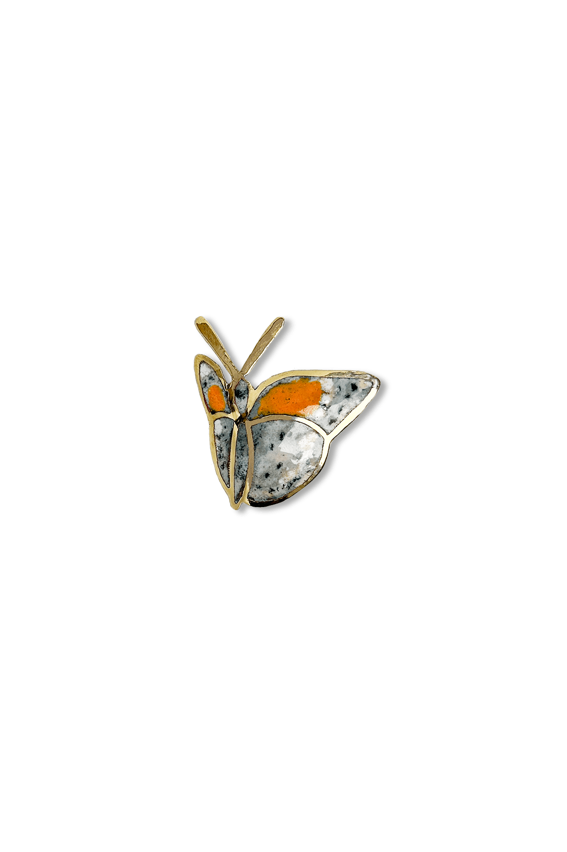 Mariposa celeste