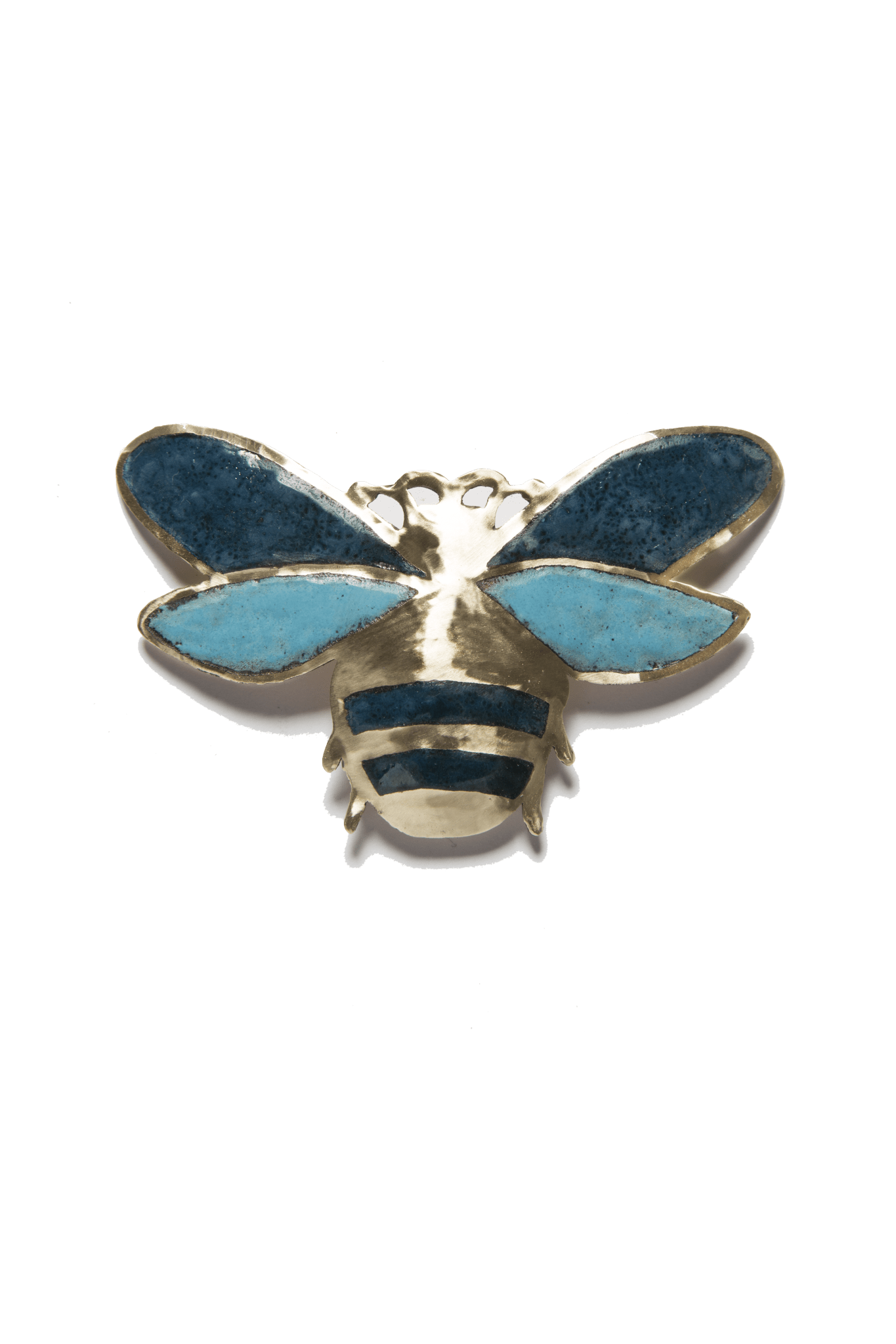 Escarabajo Volador Azulino (M)