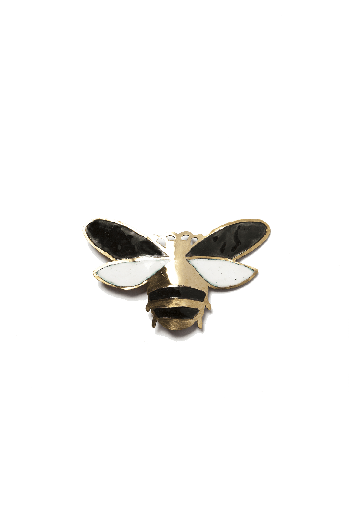 Escarabajo Volador Negro (M)