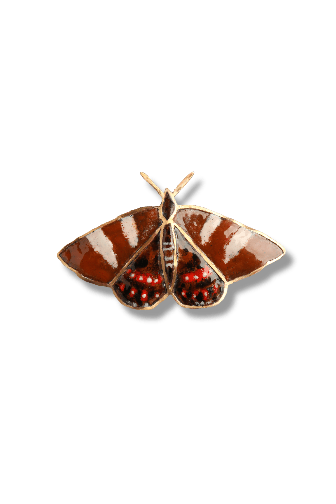 Mariposa del Chagual (M)