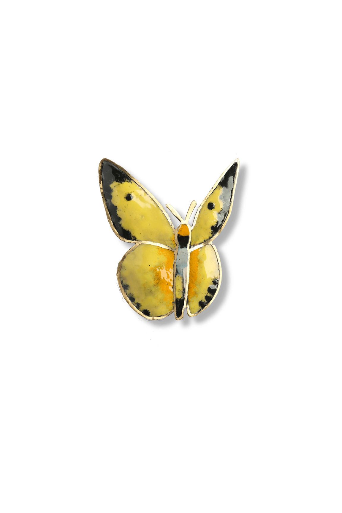 Mariposa Limonera (M)