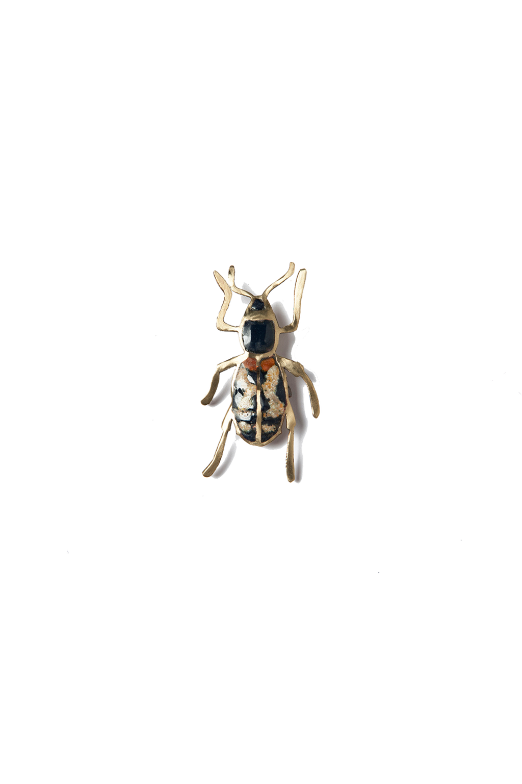 Cabrito Manchas (C)