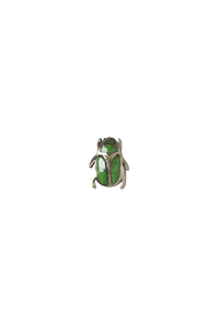 Escarabajo Verde (C)