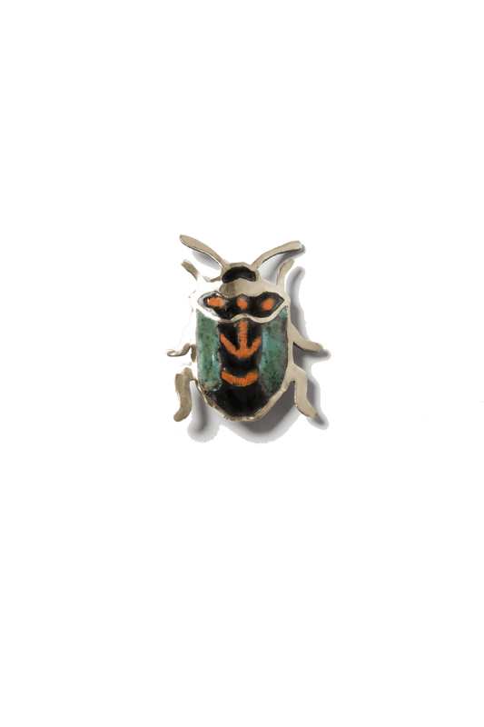 Patagonian bug (C)