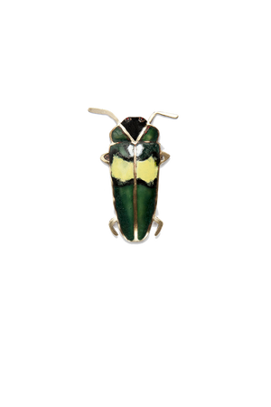 Escarabajo Indio (G)
