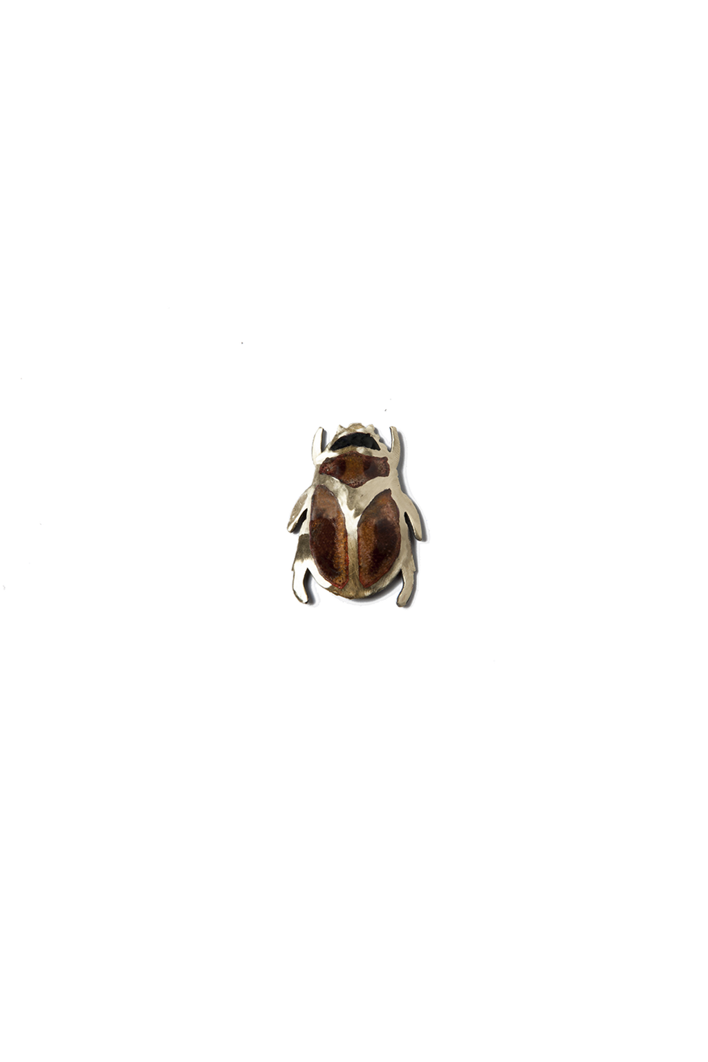 Escarabajo Caramelo (C)