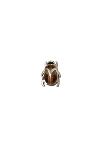 Escarabajo Caramelo (C)