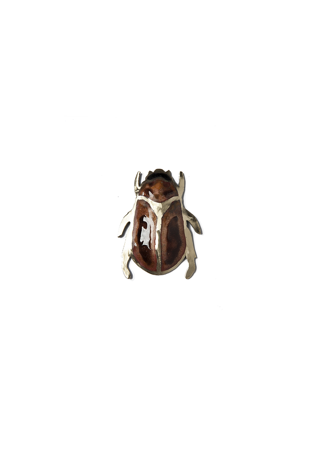 Escarabajo Caramelo (M)