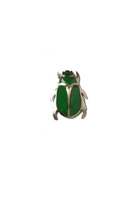 Escarabajo Verde (M)