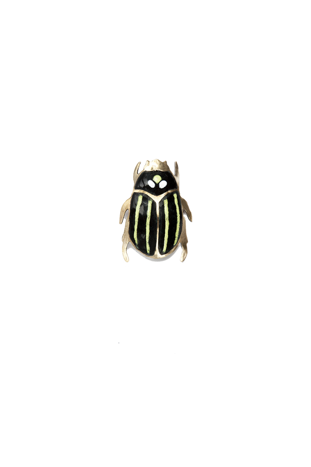 Escarabajo Rayas (M)