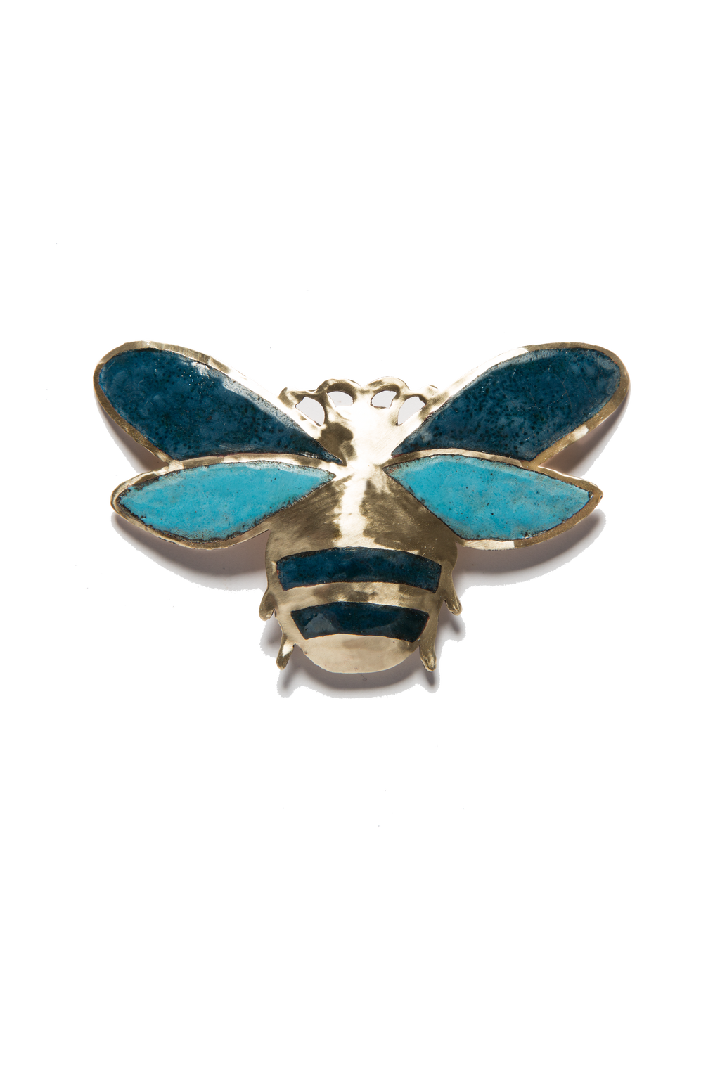 Escarabajo Volador Azulino (M)