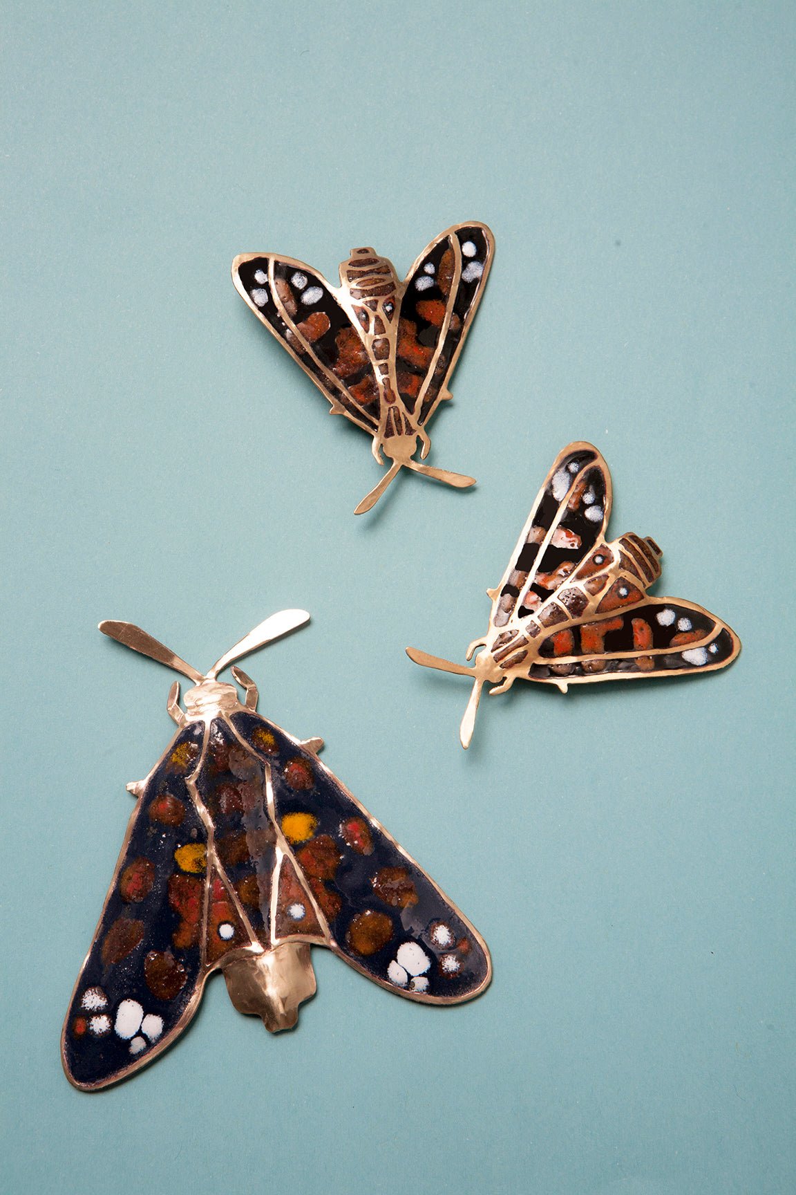 Mariposa Chilena Negra (G)