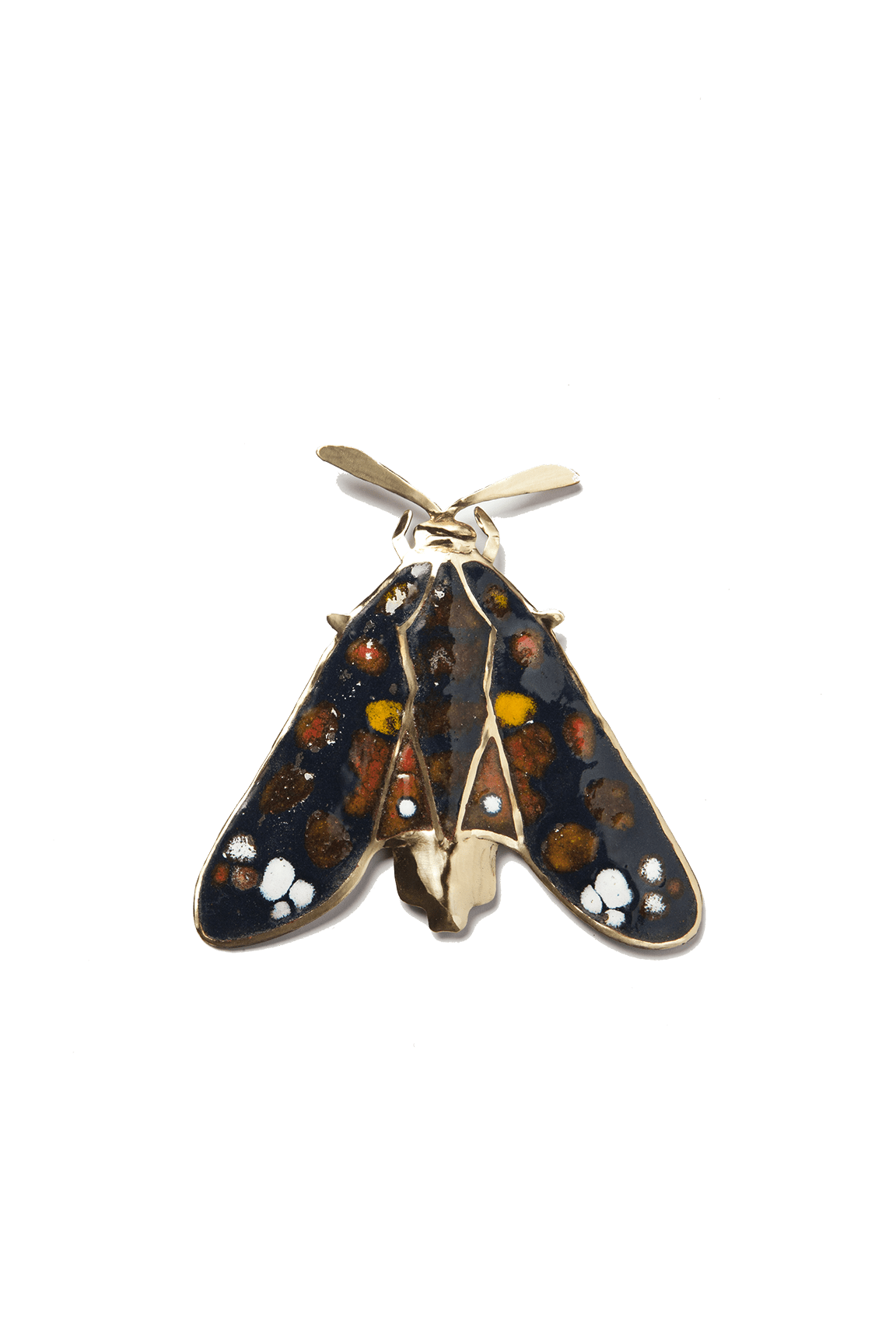 Mariposa Chilena Negra (G)