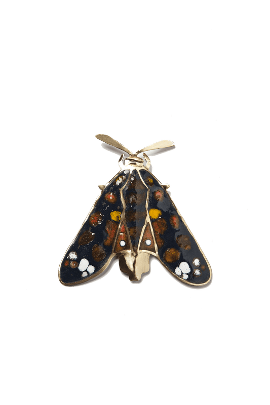 Mariposa Chilena Negra (G)